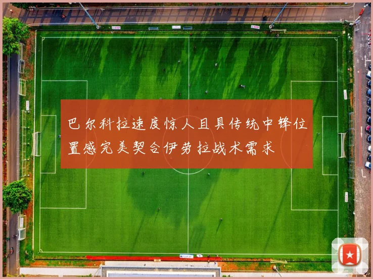 巴尔科拉速度惊人且具传统中锋位置感完美契合伊劳拉战术需求