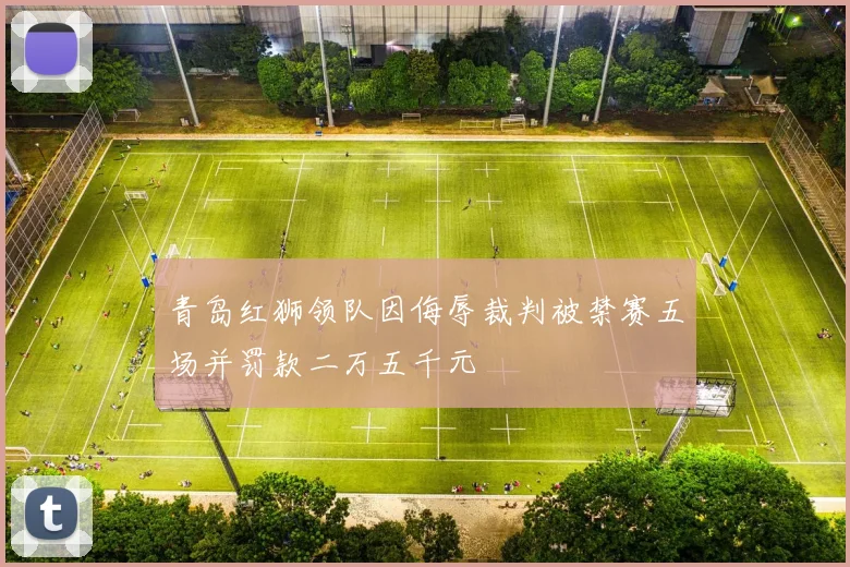青岛红狮领队因侮辱裁判被禁赛五场并罚款二万五千元