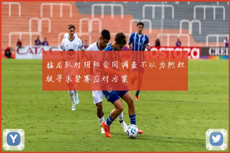 猛龙队对阴阳合同调查不以为然积极寻求禁赛应对方案
